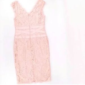 Adrianna Papell Light Pink Lace Fitted V-Neck Dress